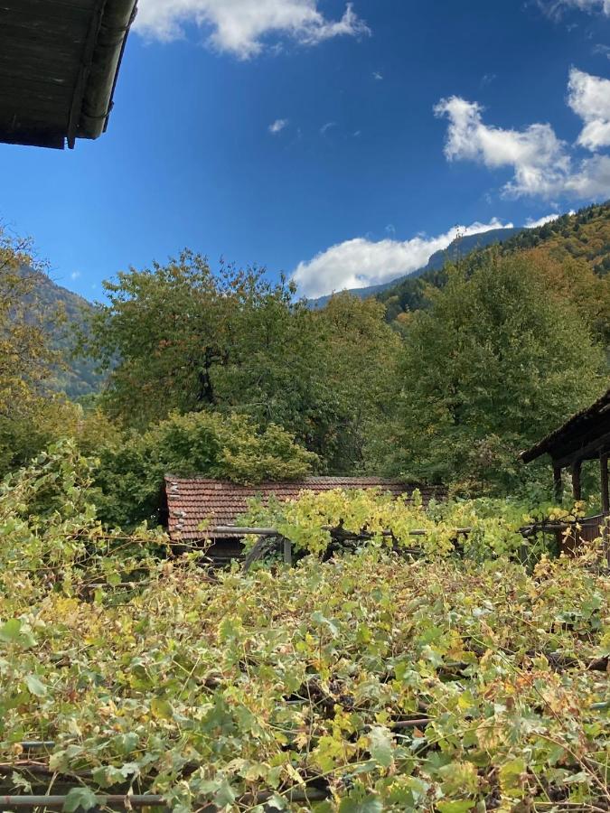 Къща за гости Ягода Сапарева-Баня Экстерьер фото
