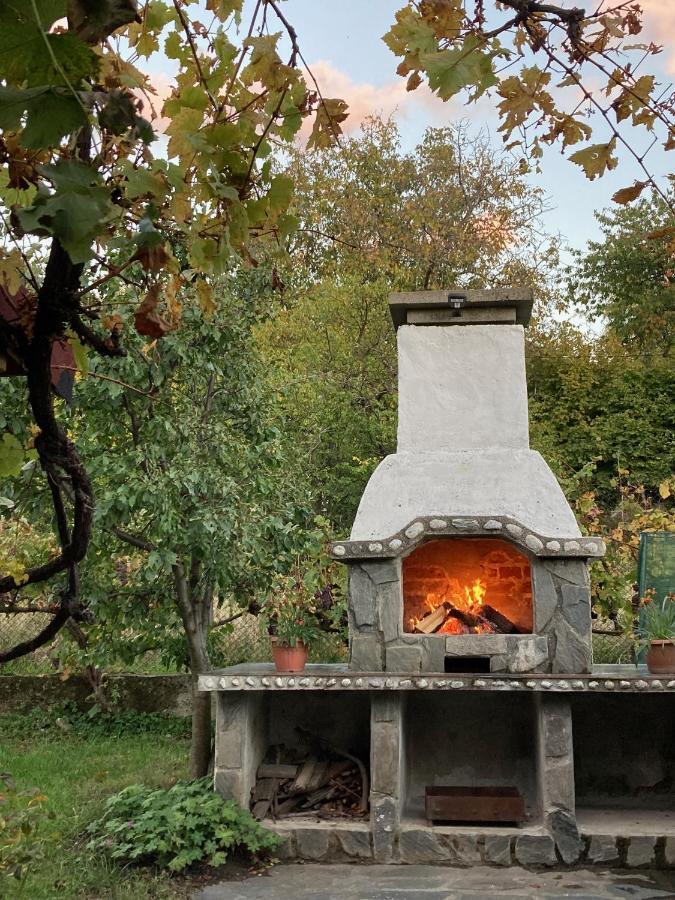 Къща за гости Ягода Сапарева-Баня Экстерьер фото